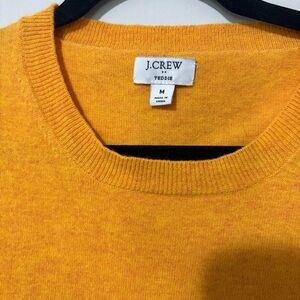 J. Crew Golden Teddie Sweater